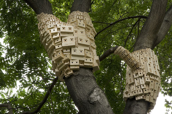 скворечник London Fieldworks