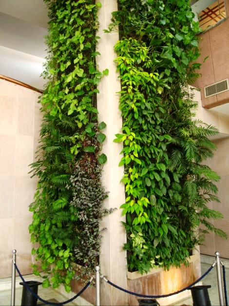 ambassade_de_france__new_delhi_1