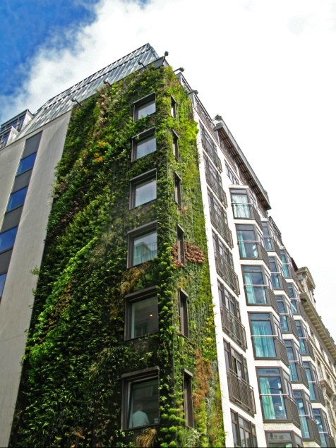 athenaeum_hotel__london_2