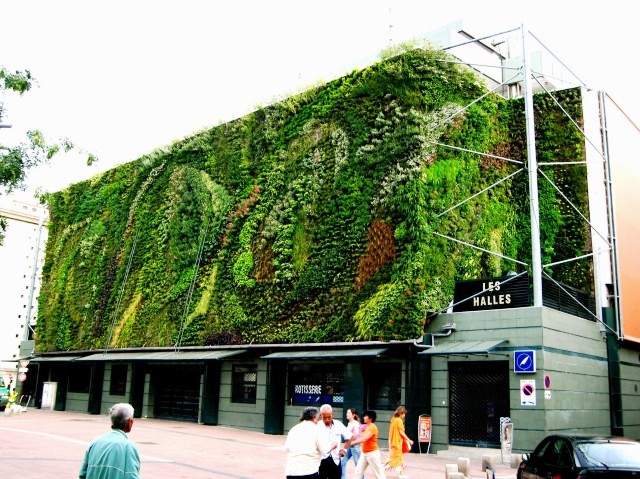 halles_avignon_1