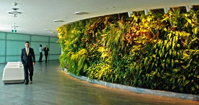 qantas_lounge_sydney_3