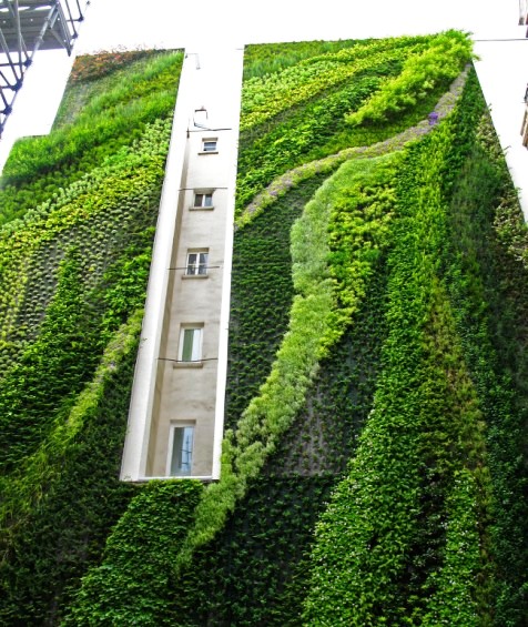 rue_d_alsace_paris_3