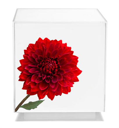 floral-art-05