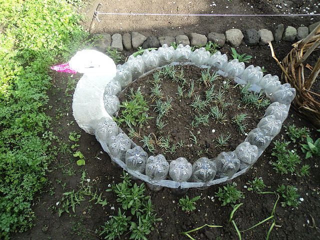 клумби із пластикових пляшок своїми руками