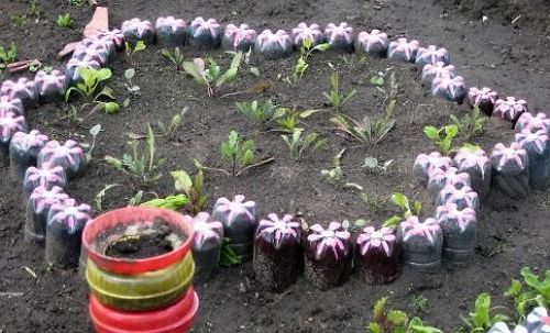 клумби із пластикових пляшок своїми руками