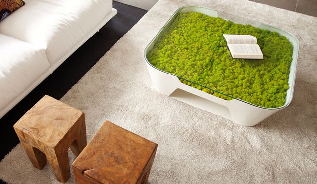 журнальный столик с декоративным мхом Moss Design