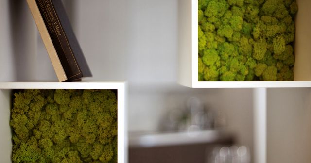 мох в стеллаже Moss Design