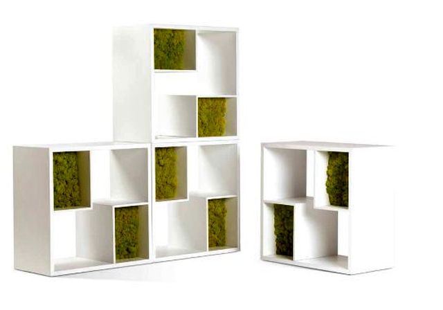 декоративный мох в стеллаже Moss Design