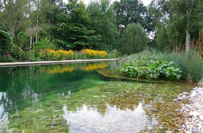 natural-swimming-pools-16