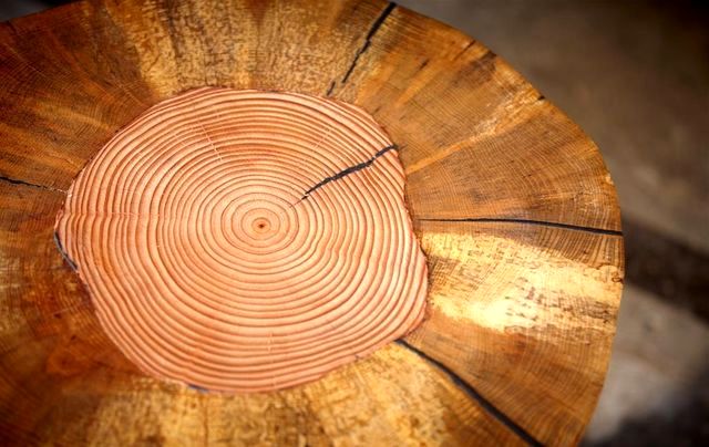 дерев'яний табурет текстури woodnwonder