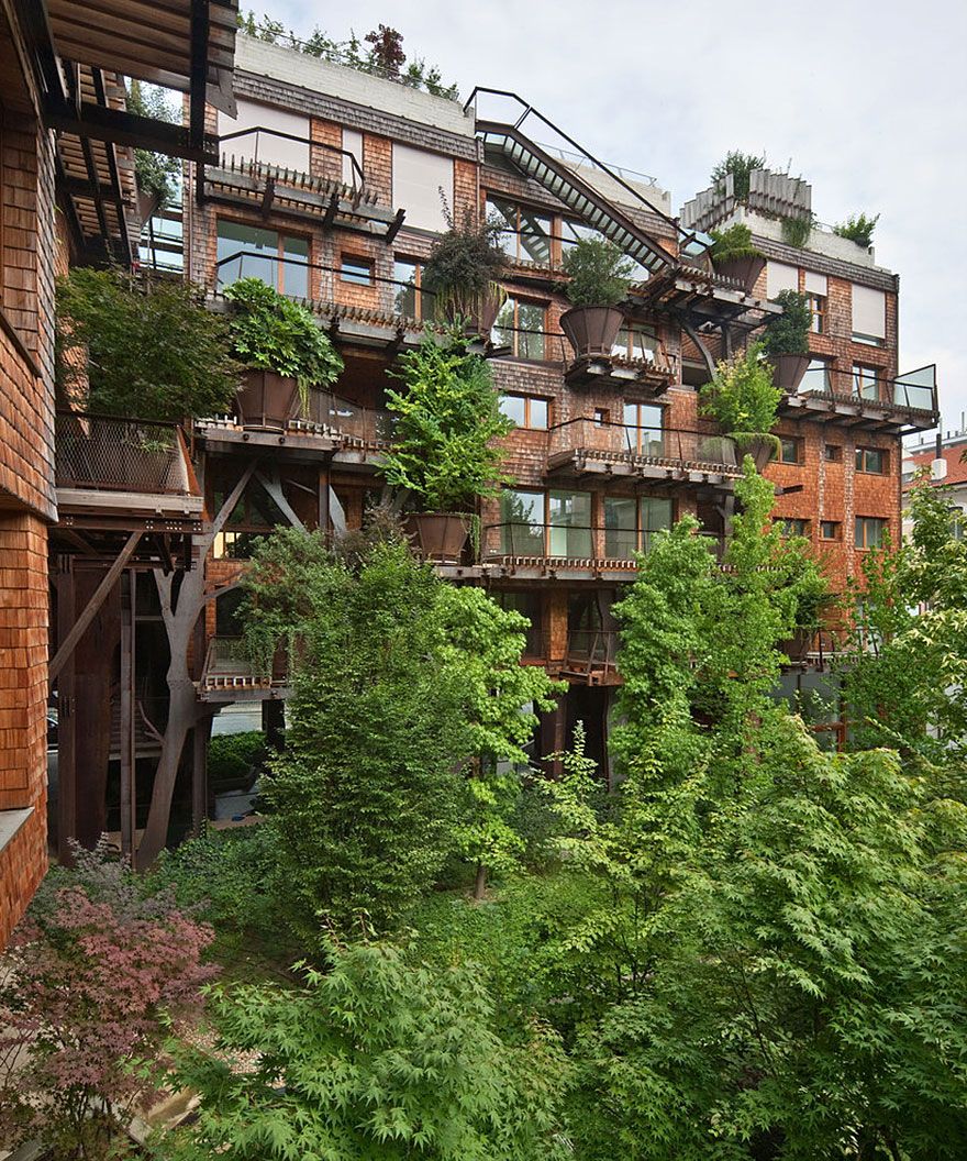 внутрішній дворик будинку з деревами 25 green