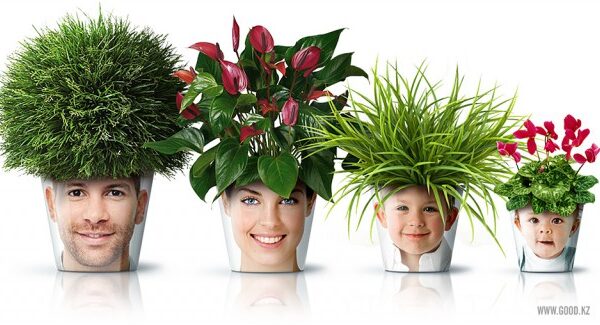 веселые цветочные горшки FacePod