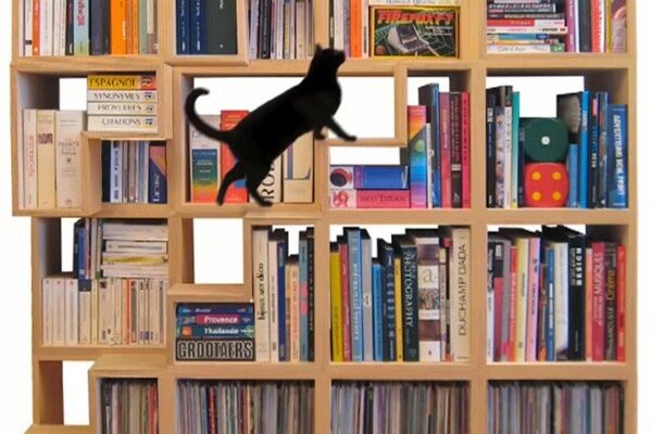 книжный шкаф Cat Library