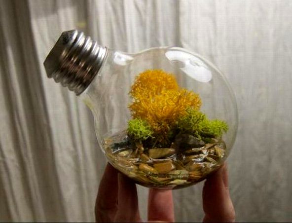 ваза для мха из лампочки