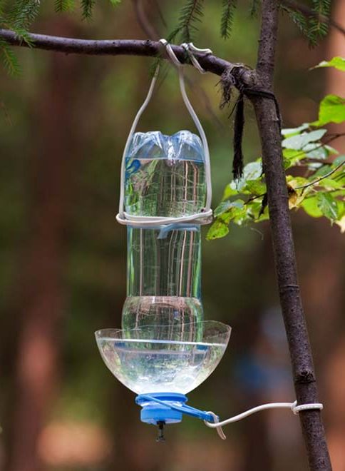 поилка для птиц из пластиковой бутылки своими руками