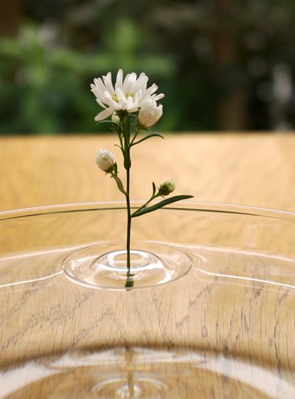 насадки для цветов - вазы в виде кругов на воде