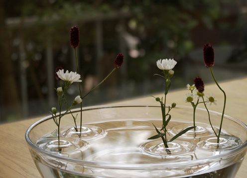 насадки для квітів - вази у вигляді кіл на воді