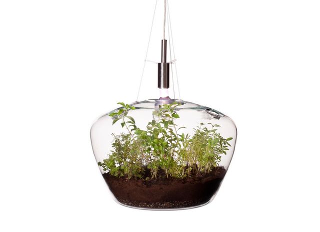 лампа для растений в интерьере