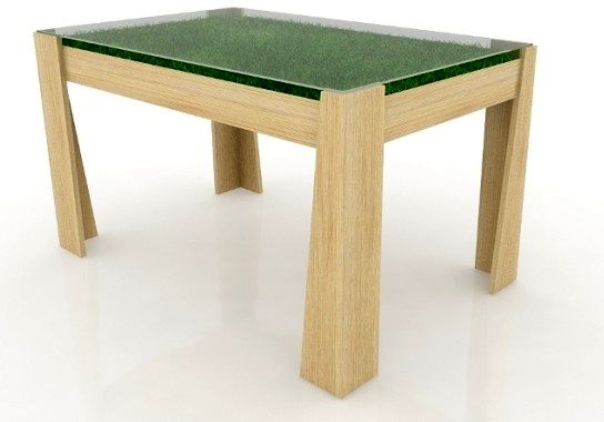 стол с травой под стеклом