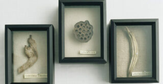 дары природы в рамке, декор стен своими руками