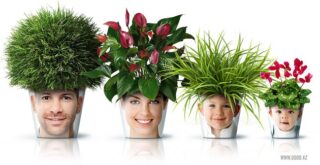 веселые цветочные горшки FacePod