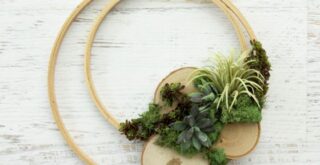 як зробити раму для аеерофітів