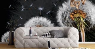 фотошпалери з кульбабою