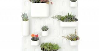 система вертикального домашнего сада