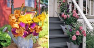 квіти в садових лійках