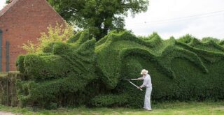 кусты, подстриженные в виде дракона